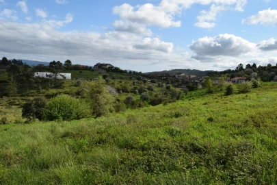 Terreno para Venda em Almalagues