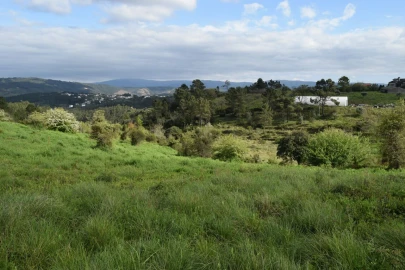 Terreno para Venda em Almalagues