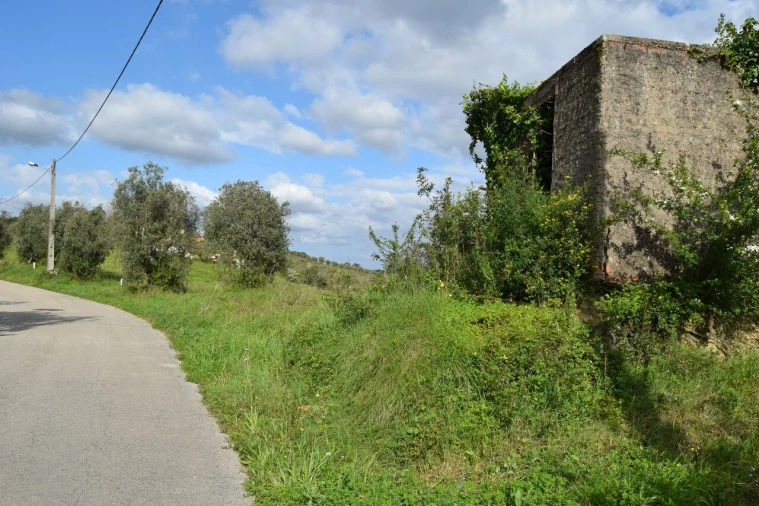 Terreno para Venda em Almalagues Foto 2
