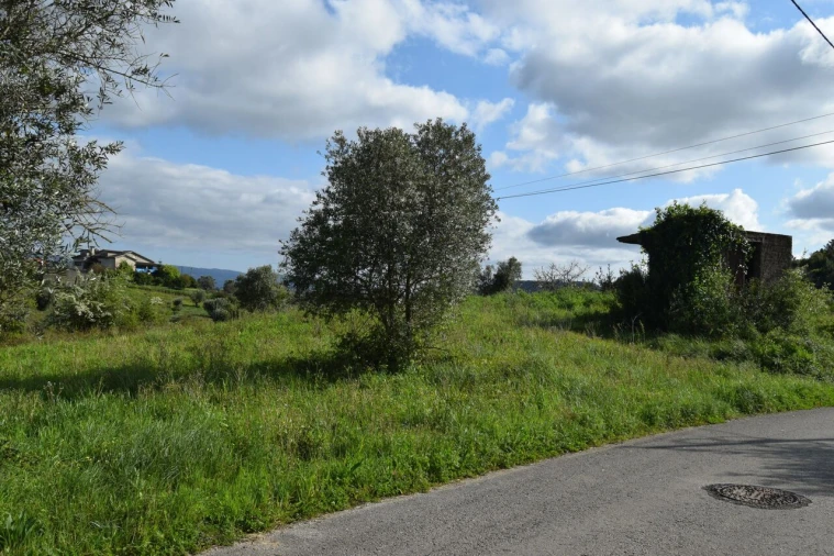 Terreno para Venda em Almalagues Foto 4