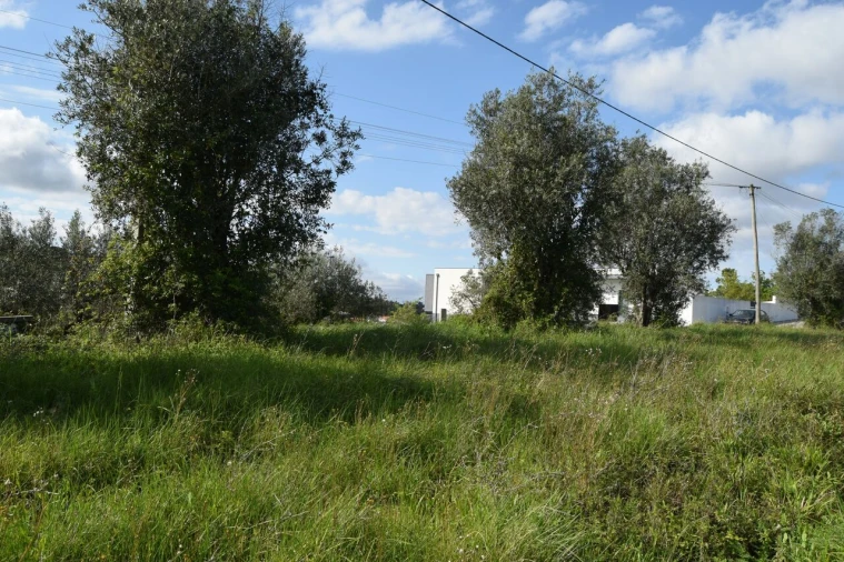 Terreno para Venda em Almalagues Foto 6