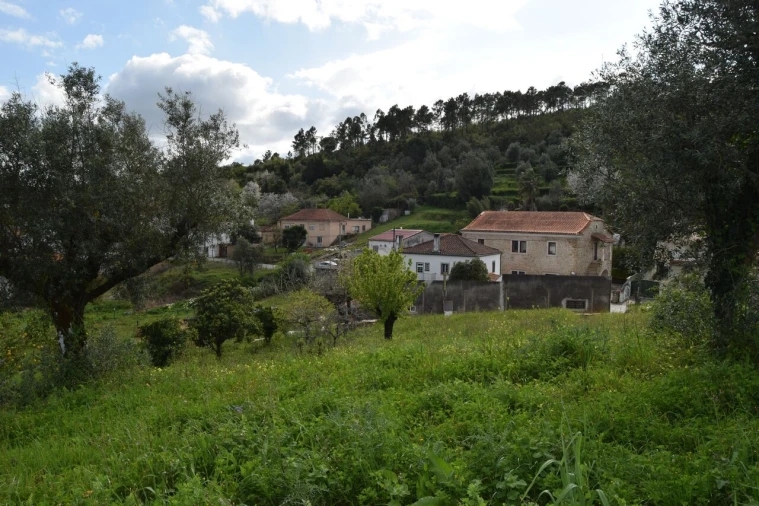 Terreno para Venda em Almalagues Foto 7