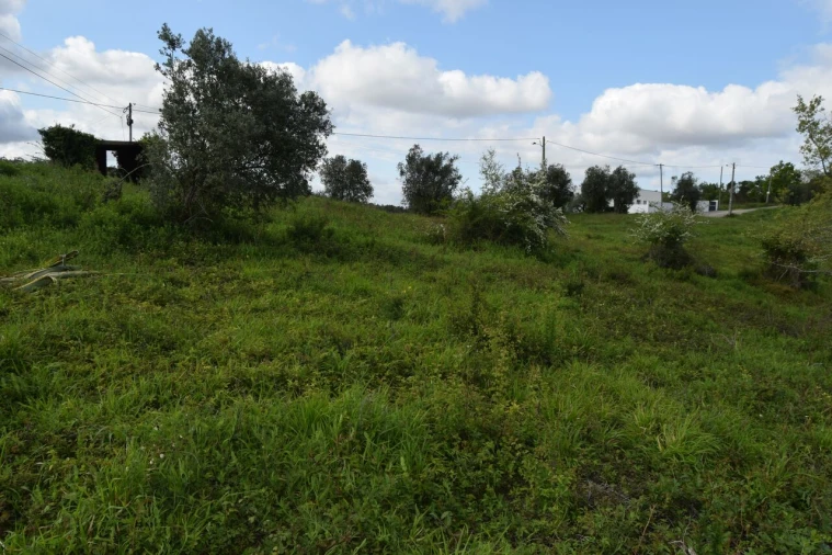 Terreno para Venda em Almalagues Foto 10
