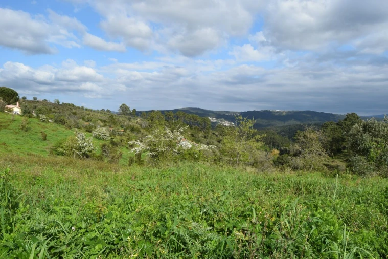 Terreno para Venda em Almalagues Foto 15