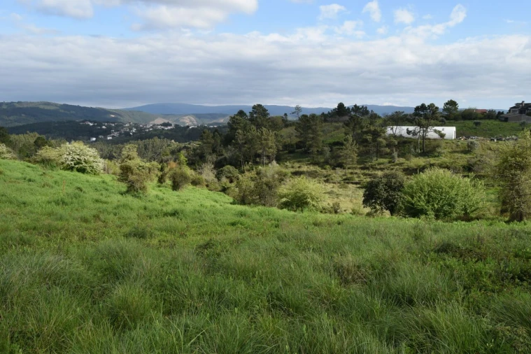 Terreno para Venda em Almalagues Foto 20