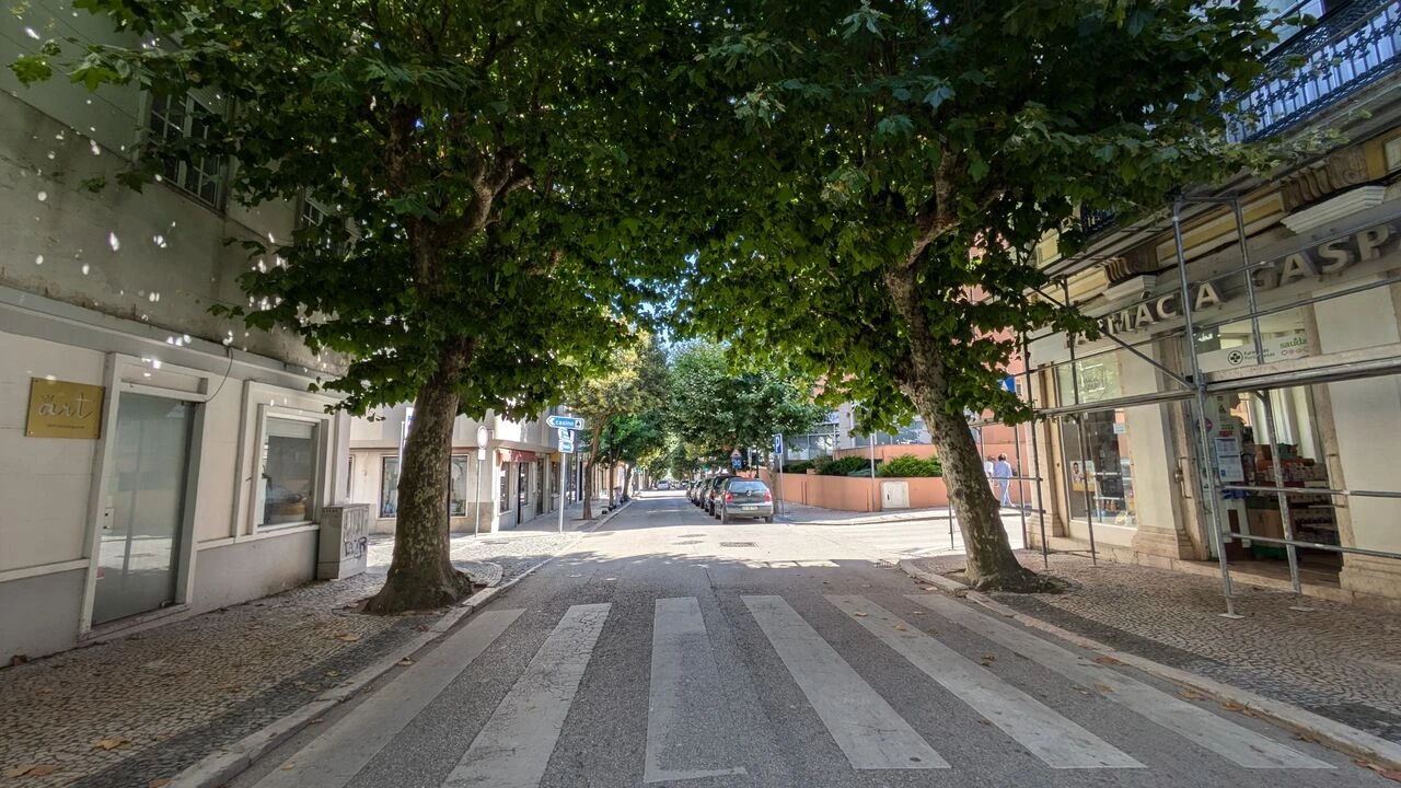 Prédio para Venda em Buarcos Foto 18