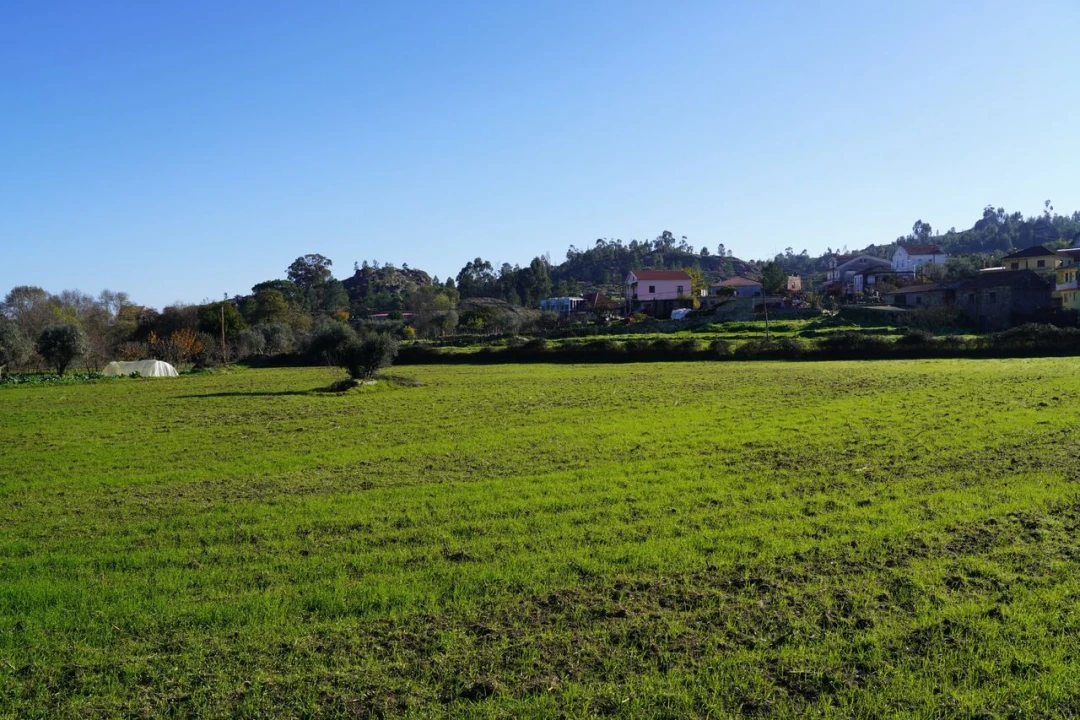 Quinta T1 para Venda em Arcozelo Foto 3