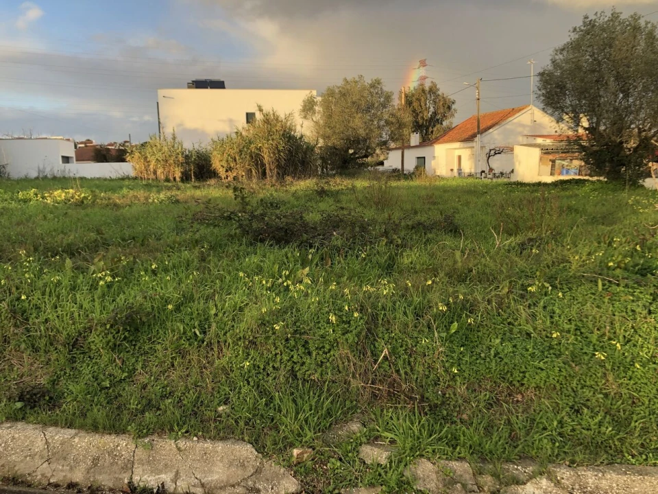 Terreno para Venda em Meia Via Foto 4