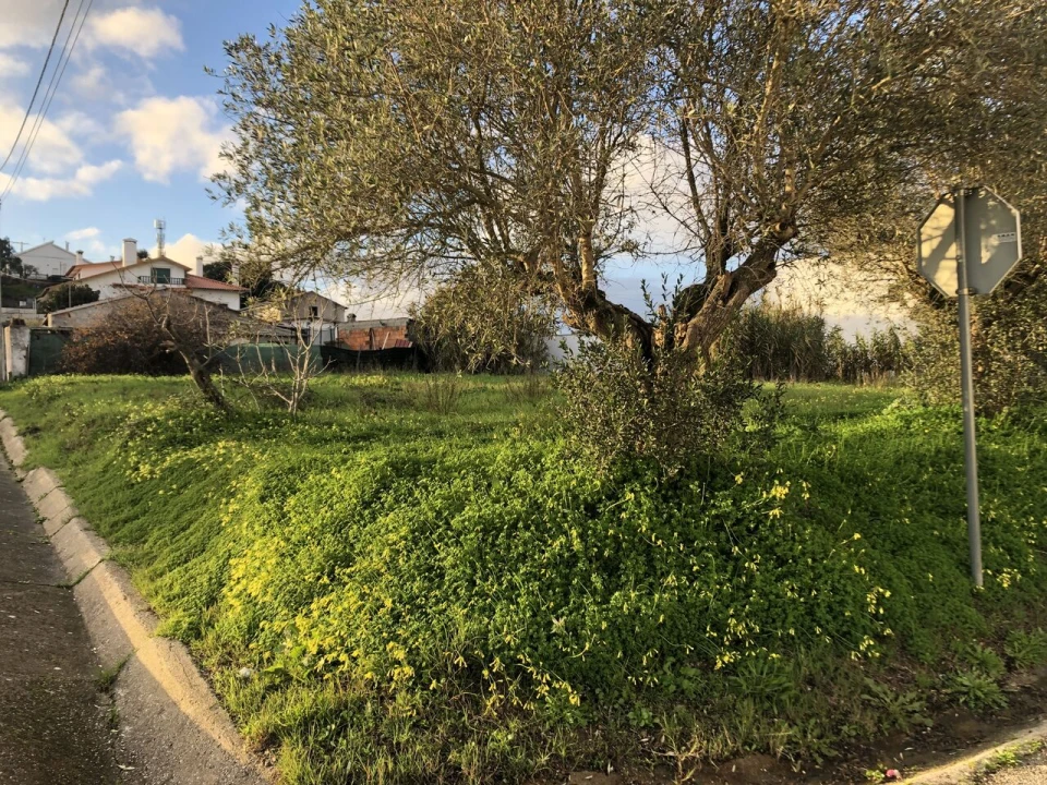 Terreno para Venda em Meia Via Foto 10