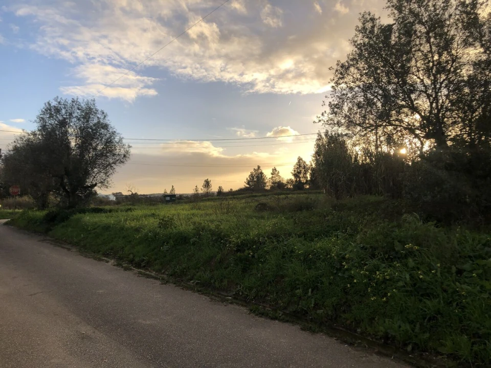 Terreno para Venda em Meia Via Foto 12