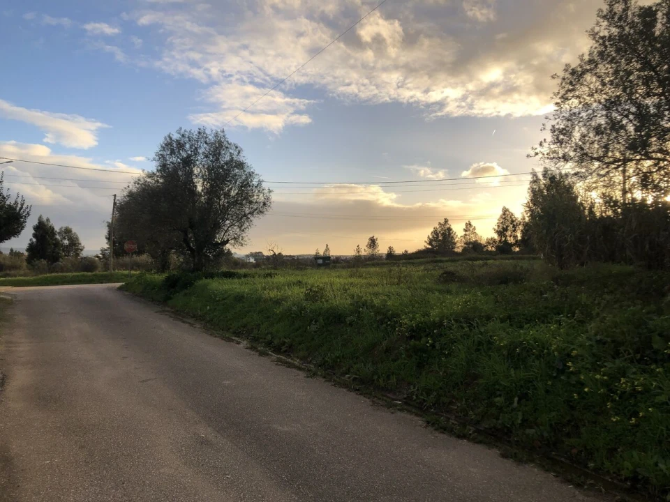 Terreno para Venda em Meia Via Foto 14