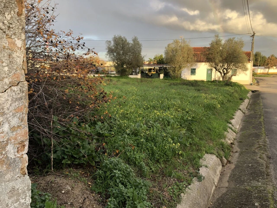 Terreno para Venda em Meia Via Foto 15