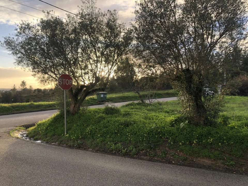 Terreno para Venda em Meia Via Foto 16