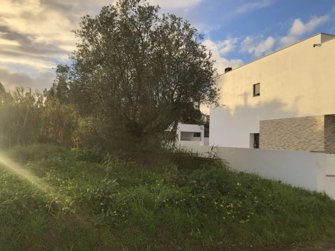 Terreno para Venda em Meia Via Foto 5