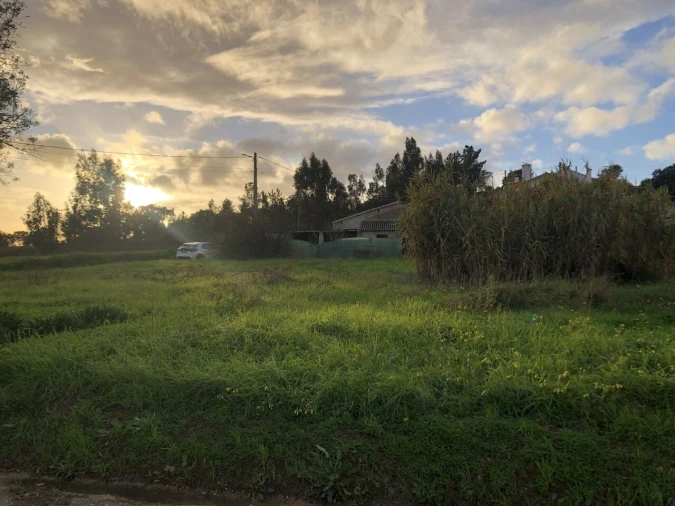 Terreno para Venda em Meia Via Foto 6