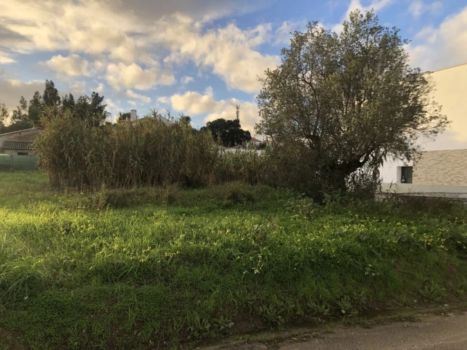 Terreno para Venda em Meia Via Foto 7