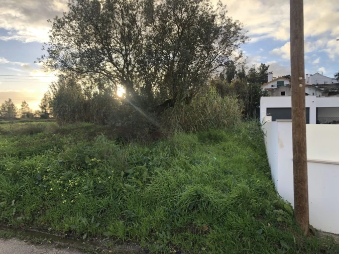 Terreno para Venda em Meia Via Foto 9