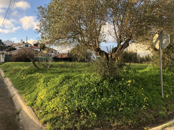 Terreno para Venda em Meia Via Foto 10