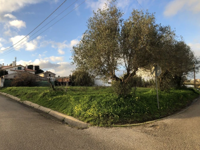 Terreno para Venda em Meia Via Foto 11