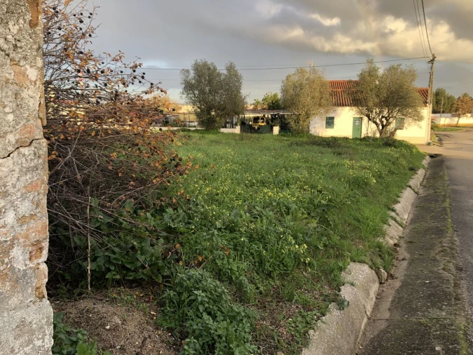 Terreno para Venda em Meia Via Foto 15