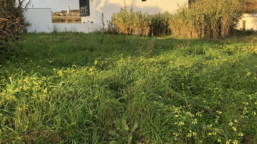 Terreno para Venda em Meia Via