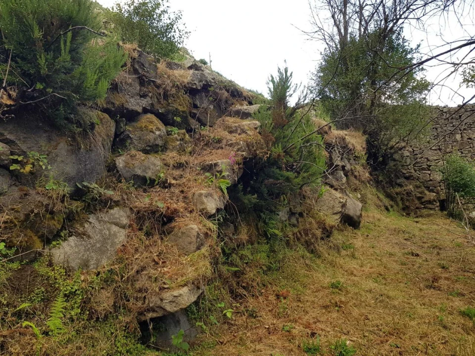 Quinta T2 para Venda em Folgosinho Foto 6