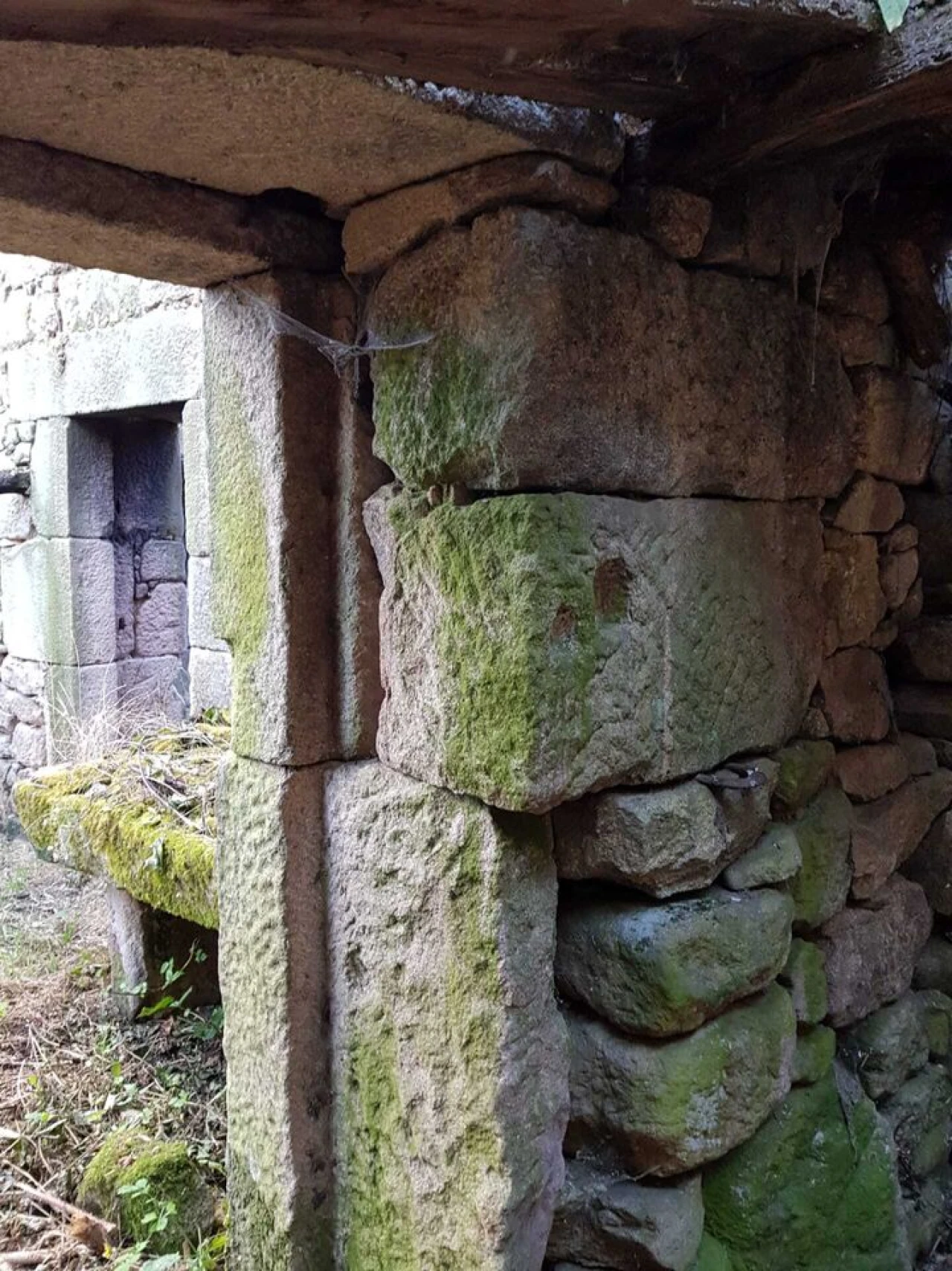 Quinta T2 para Venda em Folgosinho Foto 7