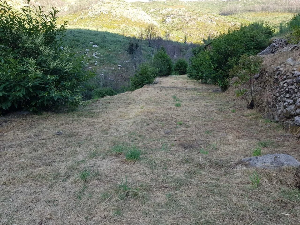 Quinta T2 para Venda em Folgosinho Foto 10