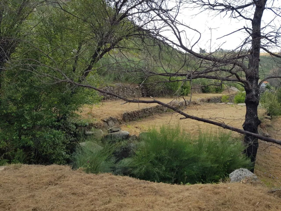 Quinta T2 para Venda em Folgosinho Foto 11