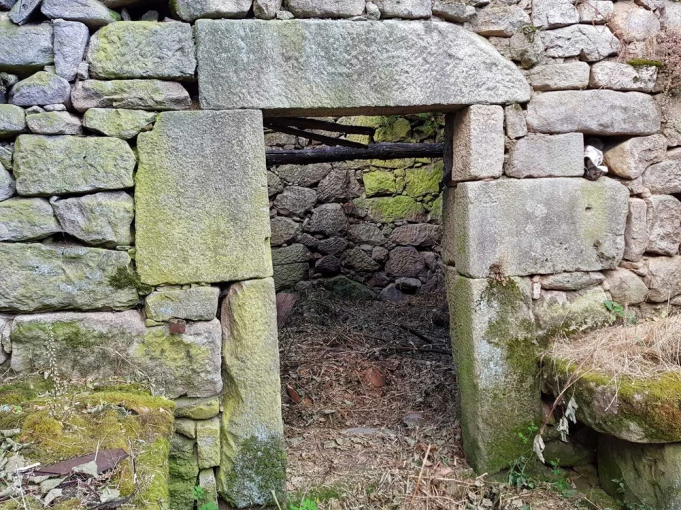 Quinta T2 para Venda em Folgosinho Foto 13