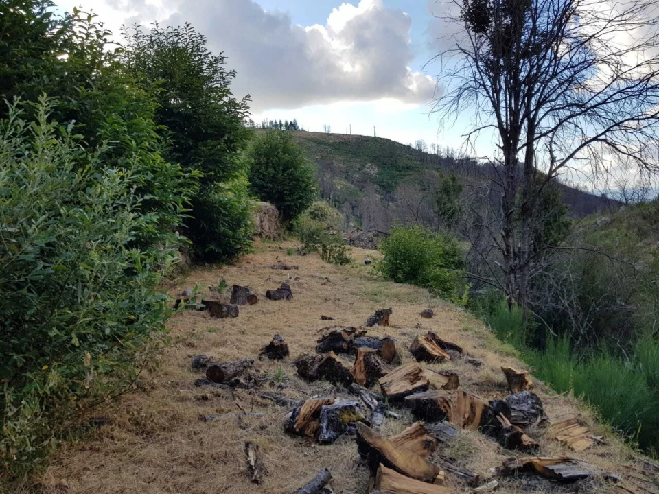 Quinta T2 para Venda em Folgosinho Foto 19