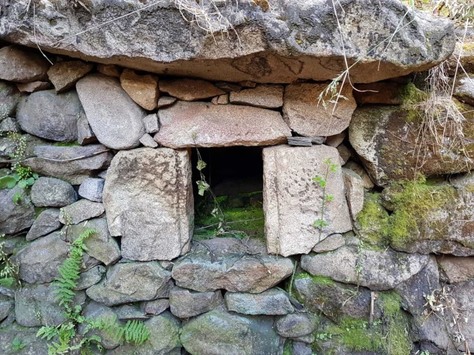 Quinta T2 para Venda em Folgosinho Foto 12