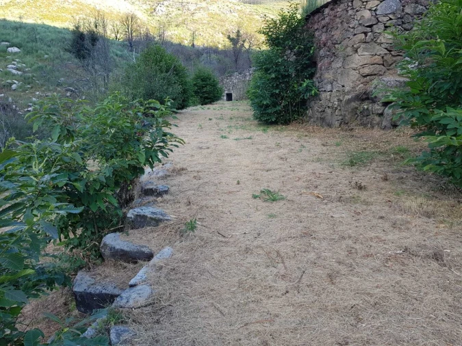 Quinta T2 para Venda em Folgosinho Foto 15