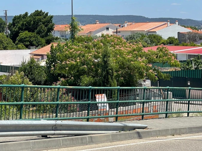 Terreno para Venda em Nossa Sra de Fatima Foto 40