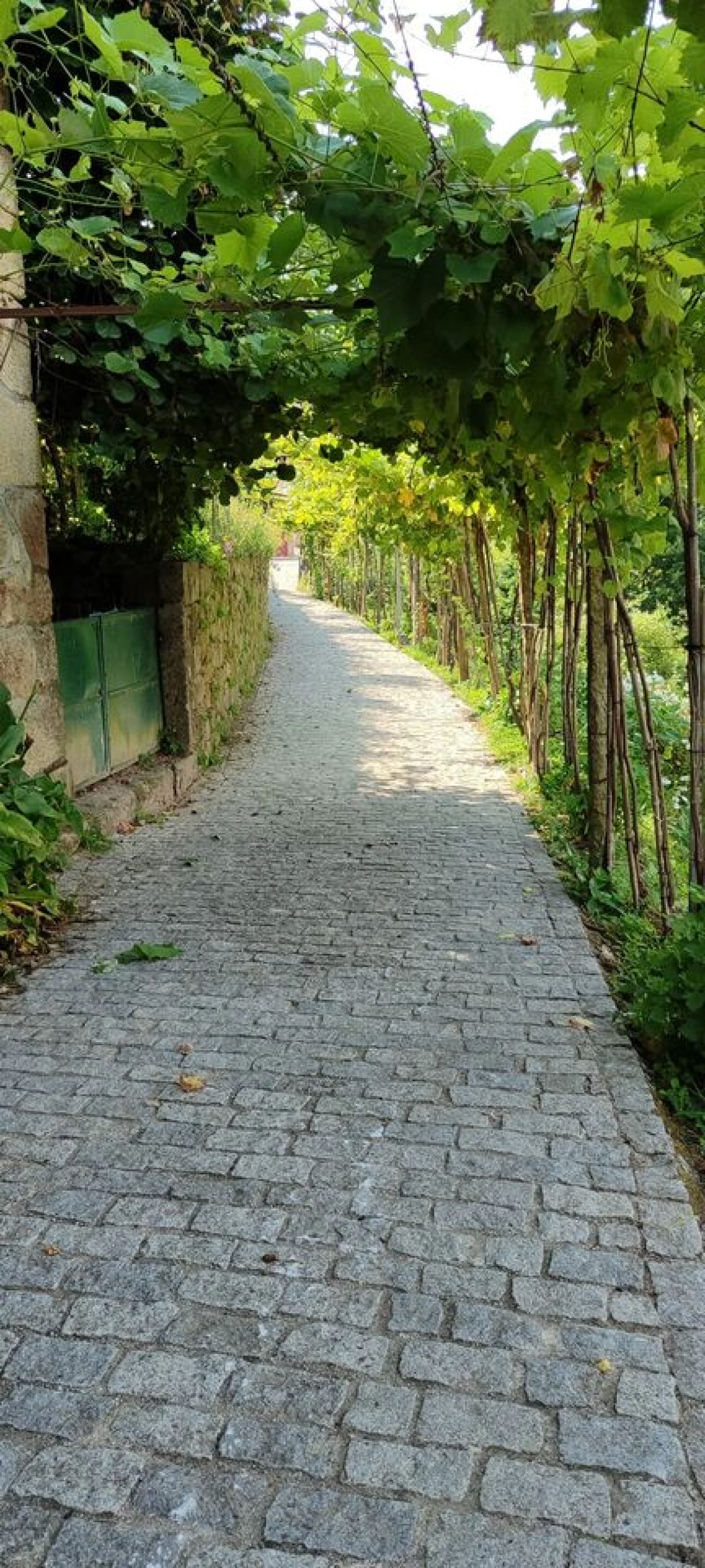 Moradia T4 para Venda em Cristoval Foto 4