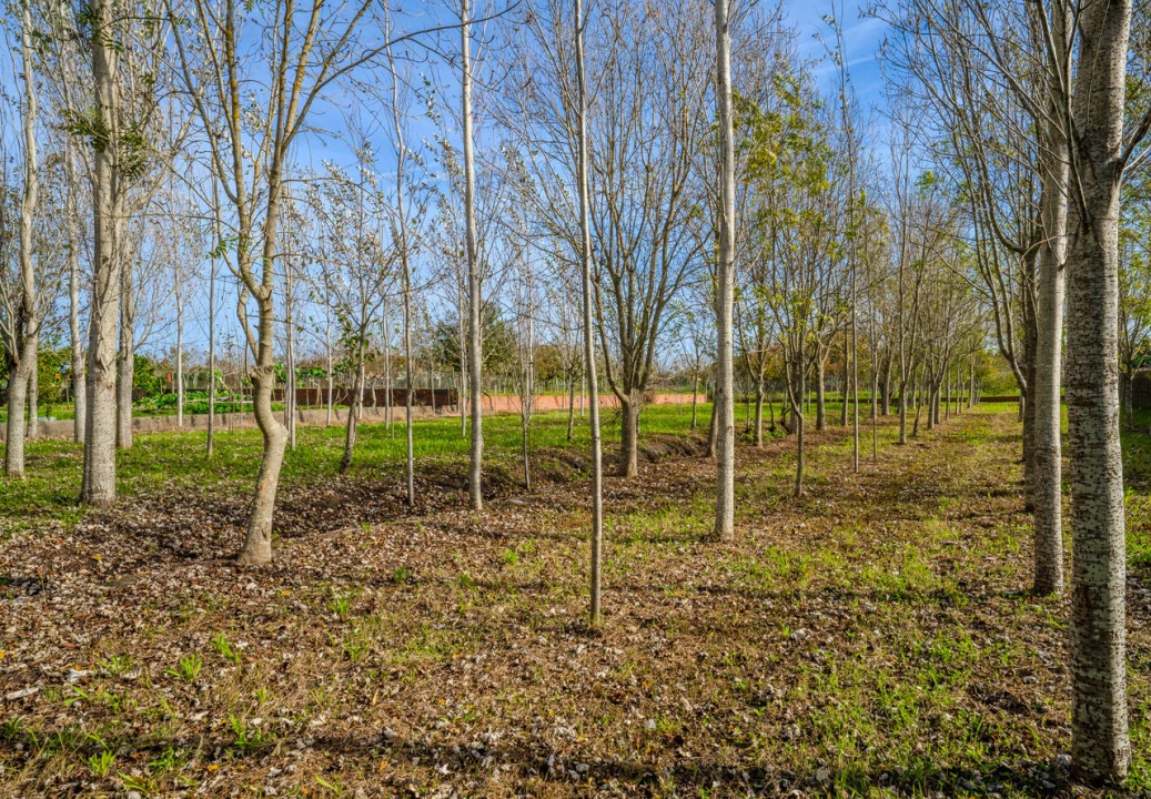 Moradia T5 para Venda em Carriço Foto 10