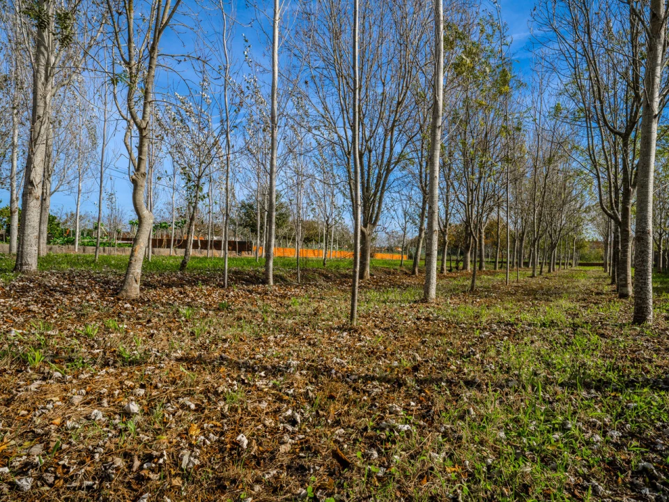 Moradia T5 para Venda em Carriço Foto 35