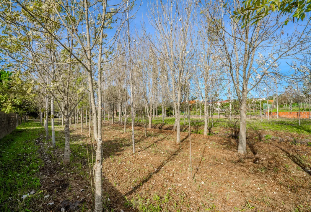 Moradia T5 para Venda em Carriço Foto 42