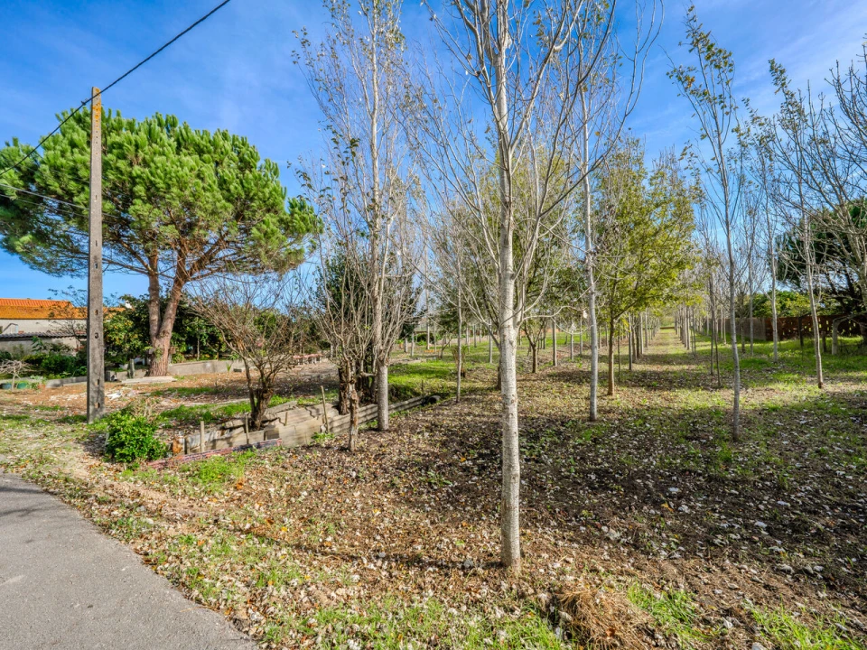 Moradia T5 para Venda em Carriço Foto 48