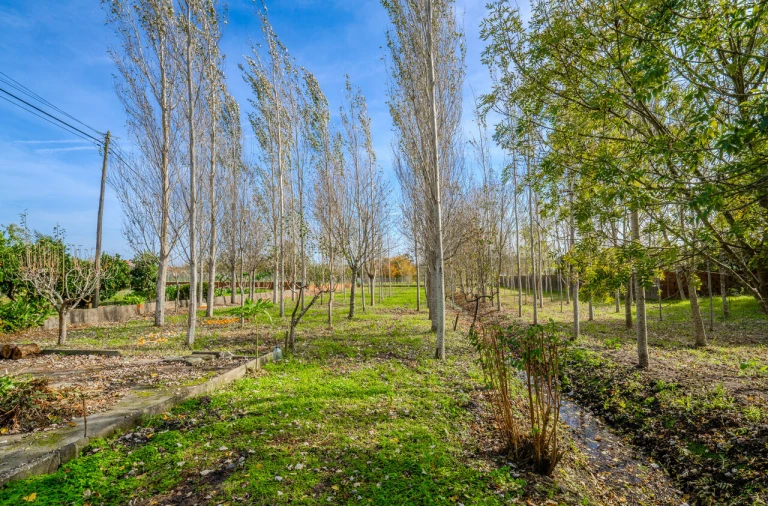 Moradia T5 para Venda em Carriço Foto 15