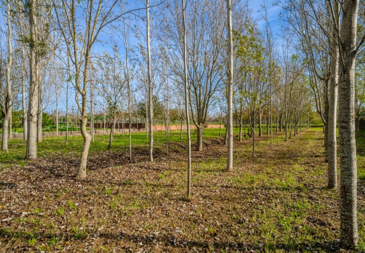 Moradia T5 para Venda em Carriço Foto 10