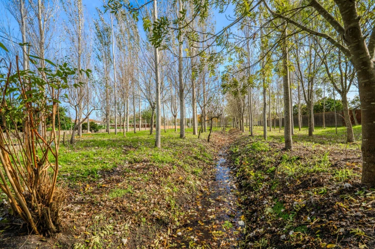 Moradia T5 para Venda em Carriço Foto 7