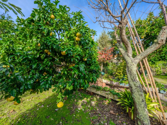 Moradia T5 para Venda em Carriço Foto 53