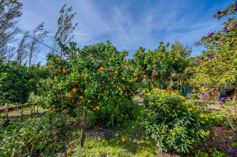 Moradia T5 para Venda em Carriço Foto 56