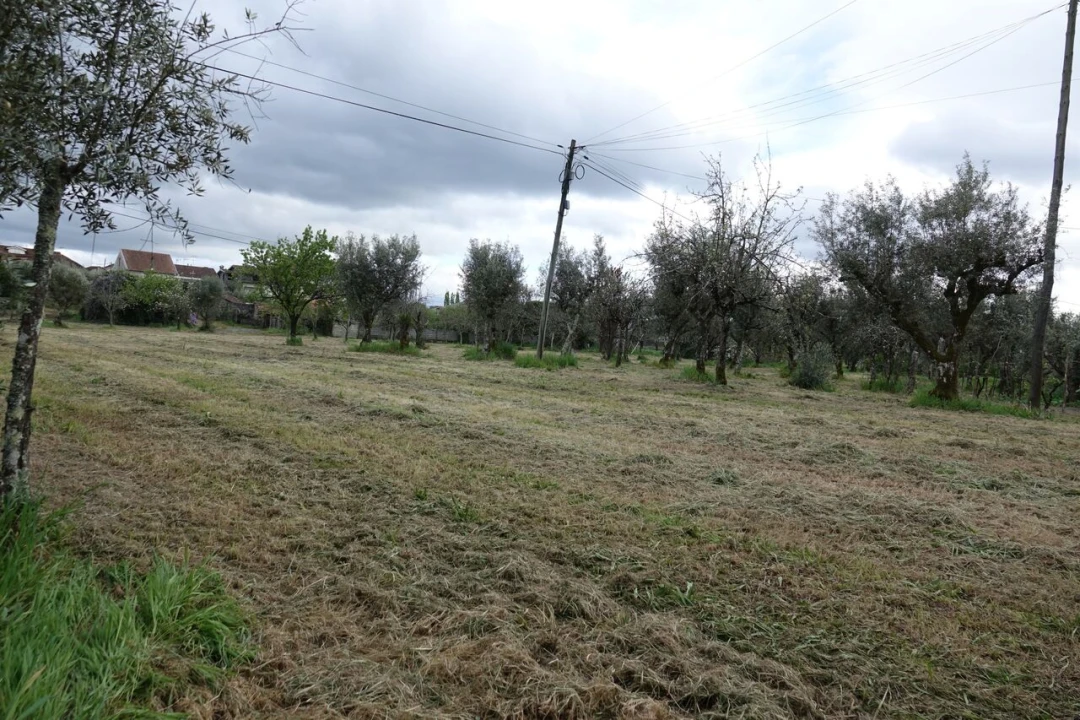 Quinta T3 para Venda em Lapa do Lobo Foto 3