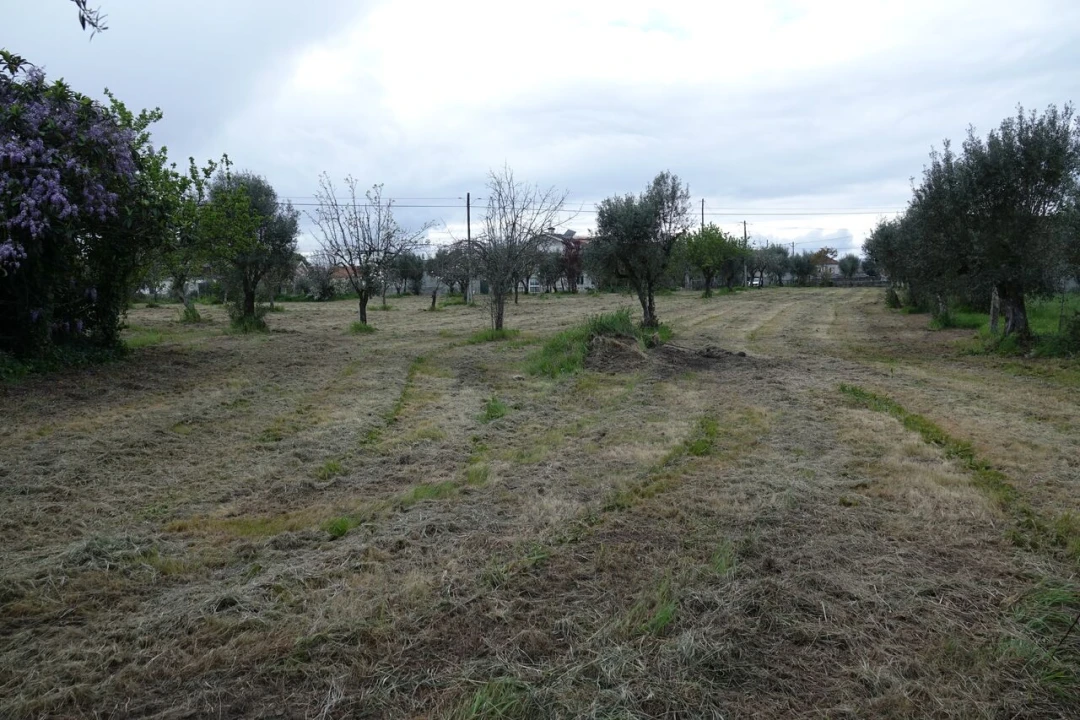 Quinta T3 para Venda em Lapa do Lobo Foto 6