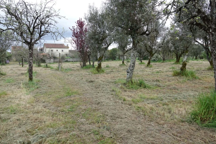 Quinta T3 para Venda em Lapa do Lobo Foto 7