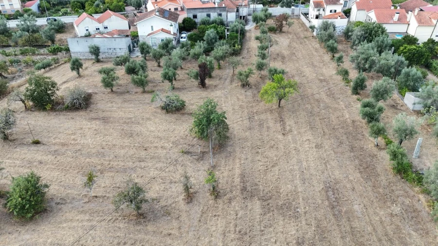 Quinta T3 para Venda em Lapa do Lobo Foto 9