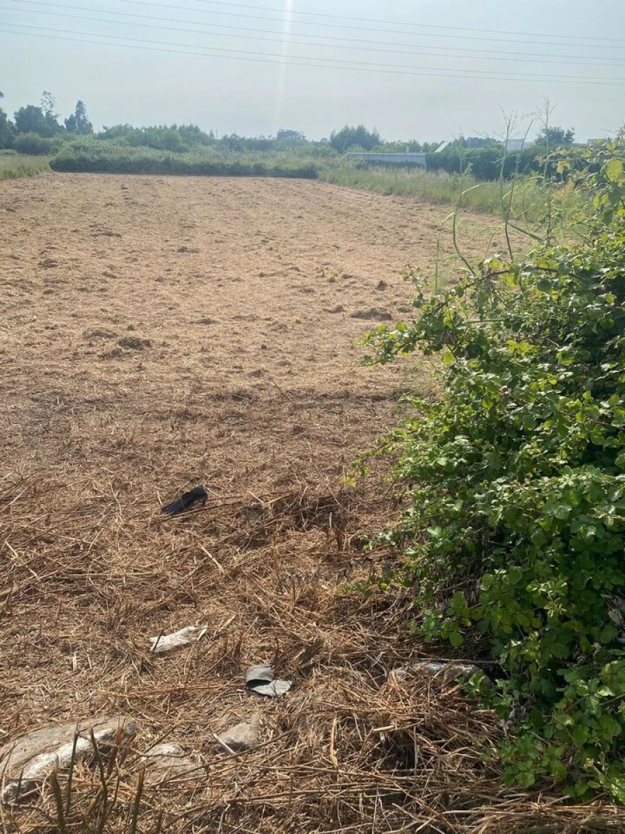 Terreno para Venda em Esmoriz Foto 4