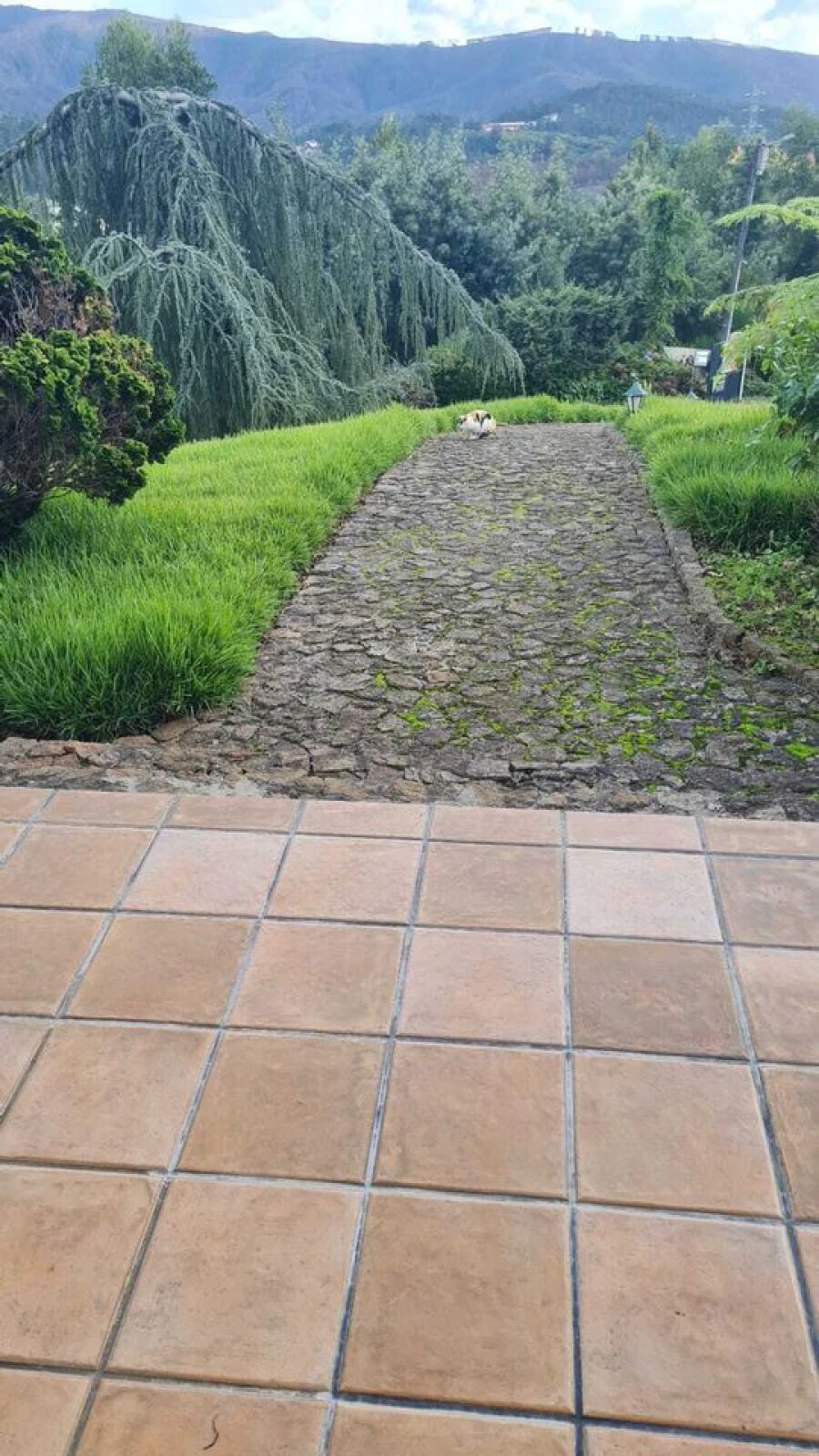 Moradia T4 para Venda em Ossela Foto 19